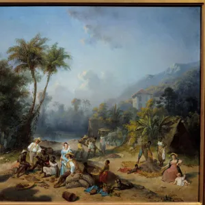 A cocoa plantation in the West Indies Painting by Alexandre Balance (1822-1893