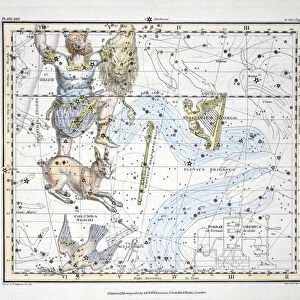 The Constellations (Plate XXIV) Fluvius Eridanus, Orion; Lepus, Columba Noachi