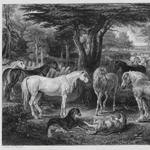 The Council of Horses, from the picture in the Vernon Gallery (engraving)