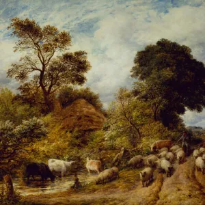 A Country Road, 1864 (oil on canvas)