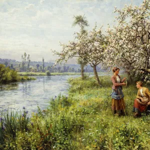 T Gallery: Auguste Joseph Trupheme