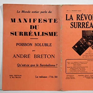 Surrealism art Collection: André Breton