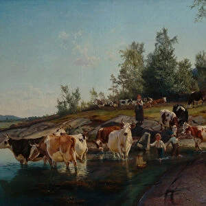 Cows by the sea