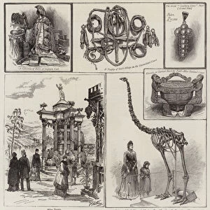 Some Curiosities at the Indian and Colonial Exhibition (engraving)