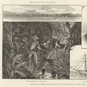 Death of Mr Frank James, killed by a Wounded Elephant in West Africa (engraving)