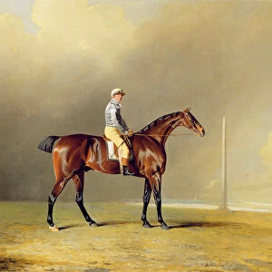 Diamond, with Dennis Fitzpatrick Up, 1799 (oil on canvas)