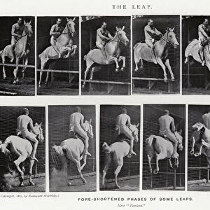 Eadweard Muybridge: The Leap (b / w photo)