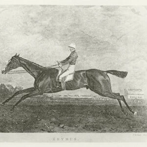 Erymus, foaled 1827 (b / w photo)