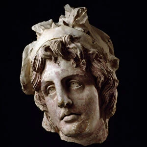 Etruscan civilization: feminine head of the Amazon. 2nd century BC. From Arezzo Dim