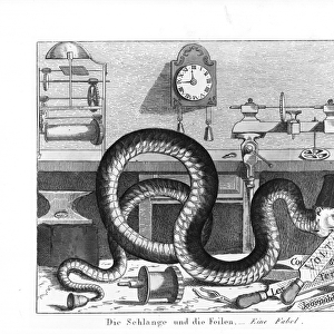 Fable of the Snake and the Files (engraving) (b / w photo)