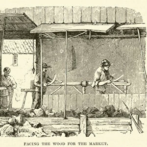Facing the wood for the market (engraving)