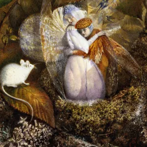 Fairy Lovers in a Birds Nest Watching a White Mouse, c