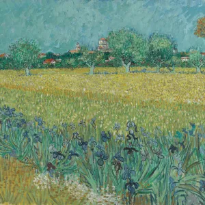 Field with Flowers near Arles, 1888 (oil on canvas)