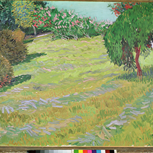 Field with Weeping Willow, 1888 (oil on canvas)