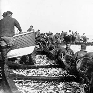 Fisherman with their Catch, c. 1890 (b / w photo)