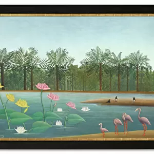 Henri Rousseau Collection: Tropical landscapes