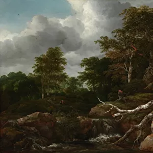 Forest Scene, c. 1655 (oil on canvas)