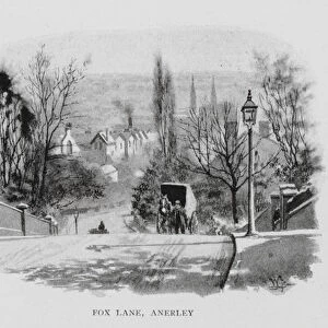 Fox Lane, Anerley (litho)