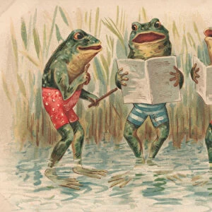 Three frogs singing (colour litho)