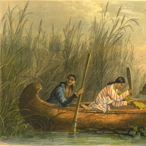 Gathering Wild Rice, 1853 (colour litho)