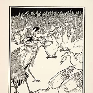 The Geese and the Cranes, from A Hundred Fables of Aesop, pub. 1903 (engraving)