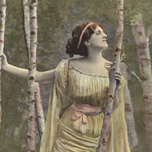 Girl in a birch wood (colour photo)