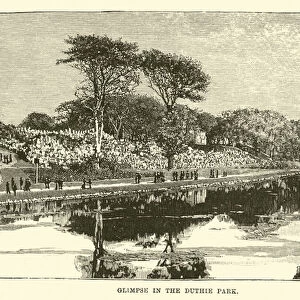 Glimpse in the Duthie Park (engraving)