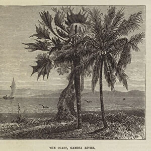 The Gold Coast and Ashantee War (engraving)