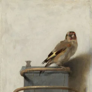 F Collection: Carel Fabritius