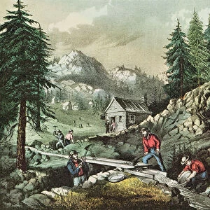 Goldmining in California, 1871 (colour litho)