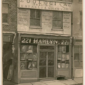 Hamlyns Zoological Trading, 221 St Georges Street, London Docks (w / c on paper)