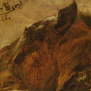Head of a Dead Horse, 1848 (oil on paper mounted on canvas)