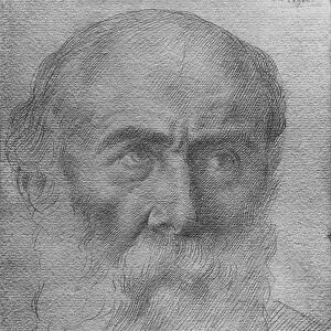Head of a man (goldpoint on paper)