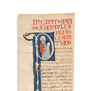 Historiated initial P with St. Paul, cut from an illuminated Atlantic Bible, Bologna, c. 1270 (ink on vellum)
