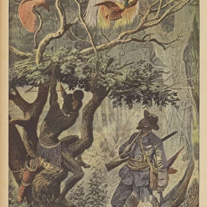 Hunting birds of paradise in New Guinea (colour litho)