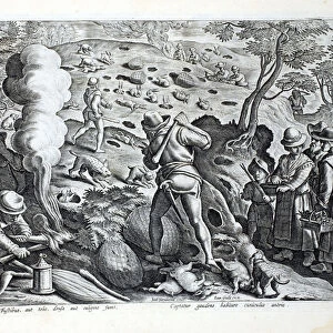 Hunting Rabbits, illustration from Venationes, Ferarum, Avium