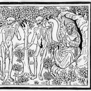 Illustration from the Danse Macabre, published Paris, 1485 (woodcut) (b / w photo)