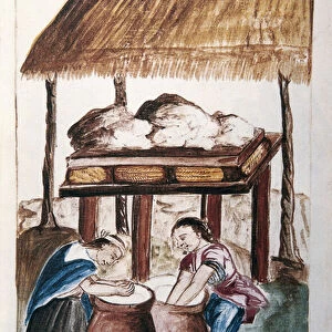 Indians making cheese, from the book "Trujillo del Peru"or "