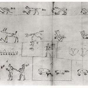 Iroquois pictogram, 12th July 1666 (pen & ink on paper)