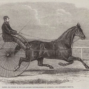 Jackey, the Winner of the late Aintree Trotting Stakes at Liverpool (engraving)