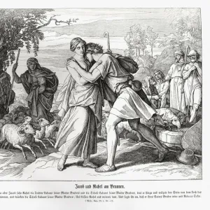 Music Collection: Genesis