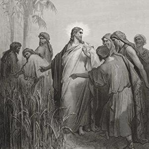 Jesus and His Disciples in the Corn Field, illustration from Dores The Holy Bible