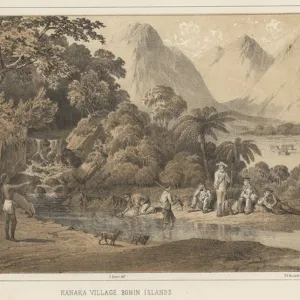 Japan Heritage Sites Collection: Ogasawara Islands