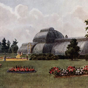 Kew Gardens: The Palm House (colour litho)
