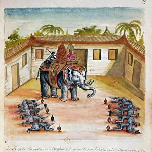 The King of Siam on his Elephant, from an account of the Jesuits in Siam