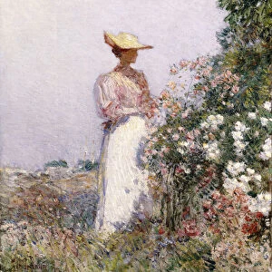 Lady in Flower Garden, (oil on canvas)