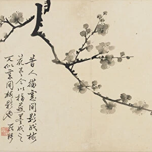 Landscapes, Flowers and Birds: Plum, Qing Dynasty, 1780 (ink on paper)