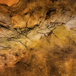 Lascaux cave painting, Bordeaux, France (photo)