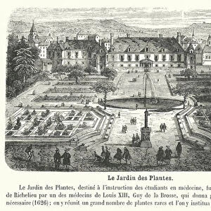 Le Jardin des Plantes (engraving)
