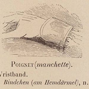 Le Vocabulaire Illustre: Poignet (manchette); Wristband; Bindchen (am Hemdarmel) (engraving)